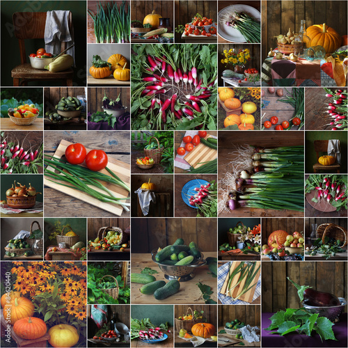 Коллаж из натюрмортов с овощами: лук, редис, помидор, тыква, огурец, кабачок, баклажан