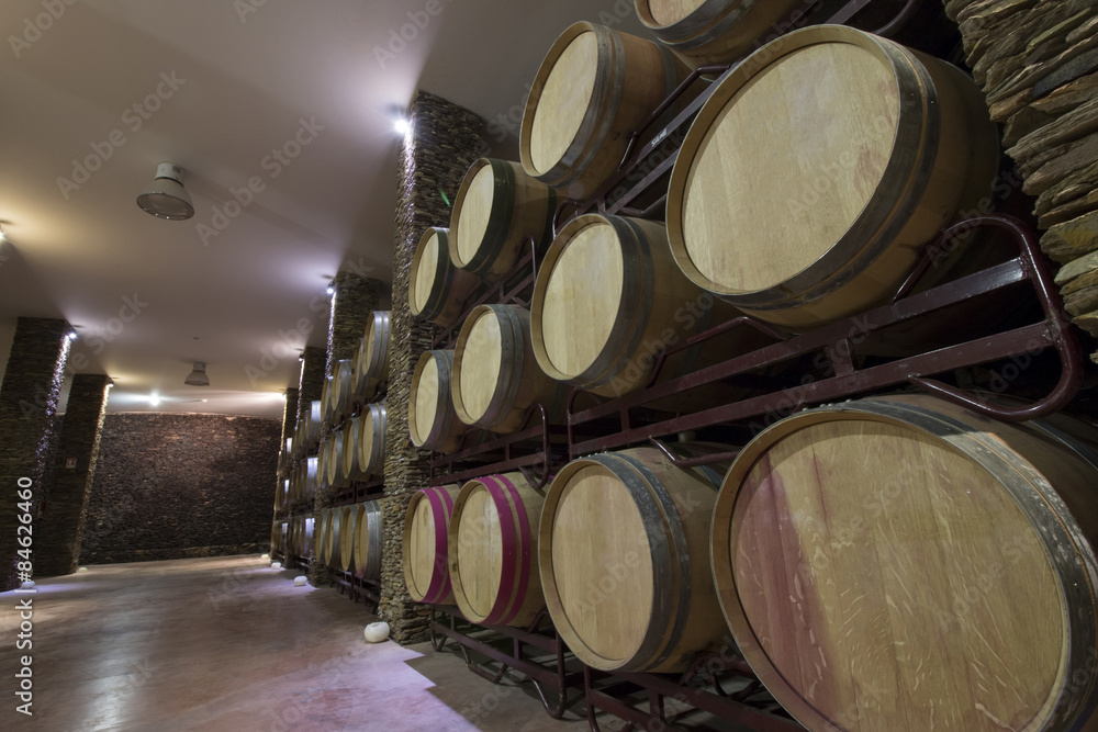 View of a long cellar with wine barrels.