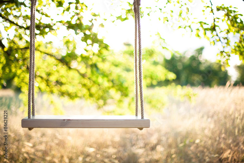 The swing