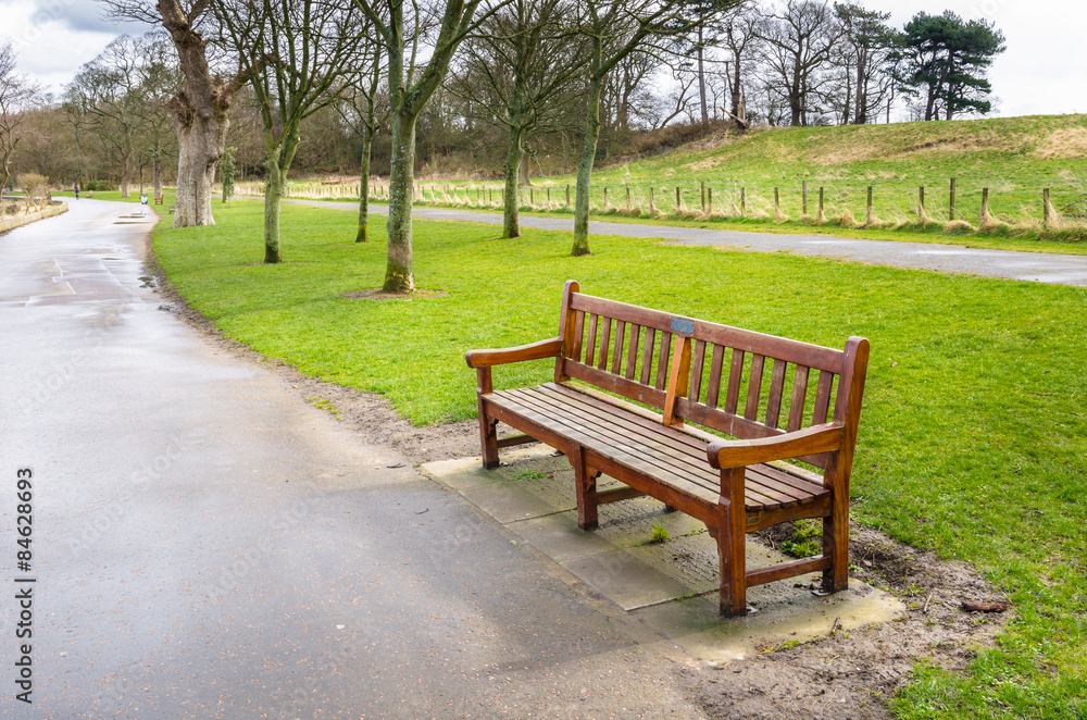 Wooden Bench on a Paved Path in a Park