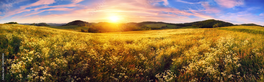 Panorama of a colorful sunset on beautiful meadow - obrazy, fototapety, plakaty 