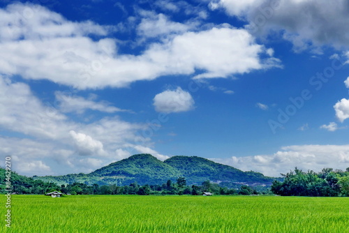 Mountain and cloud sky with rice field forground