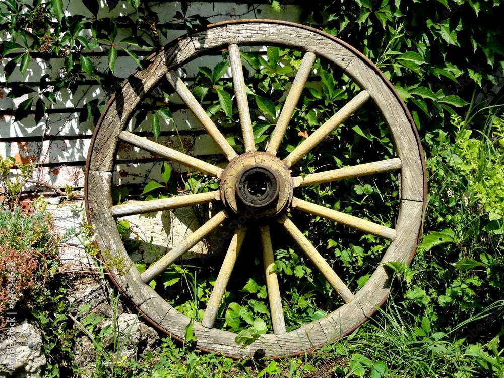 Wooden wheel