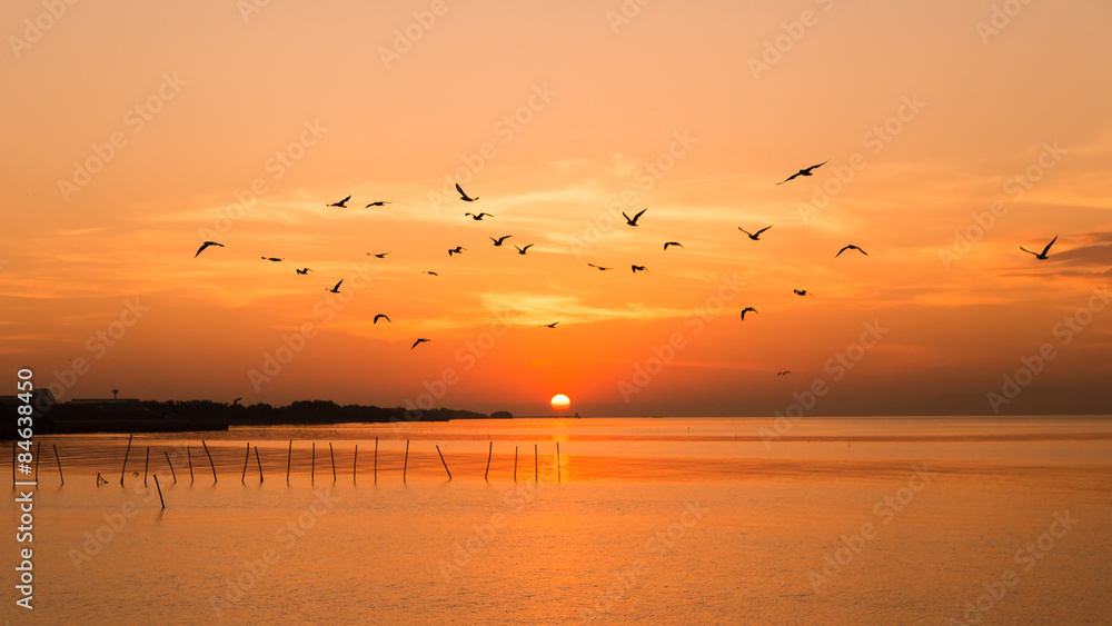 Seagulls fly in the air with sunrise and sea as a  background
