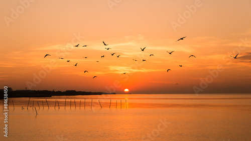 Seagulls fly in the air with sunrise and sea as a background