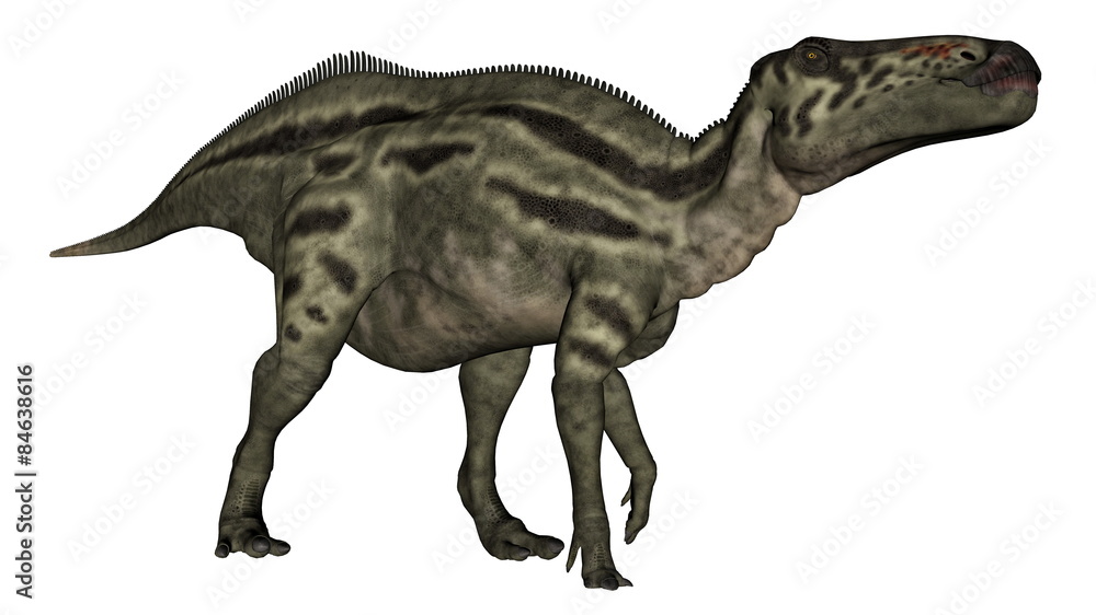 Fototapeta premium Shantungosaurus dinosaur - 3D render