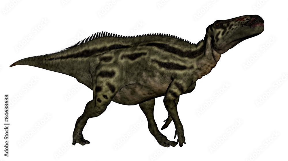 Fototapeta premium Shantungosaurus dinosaur - 3D render