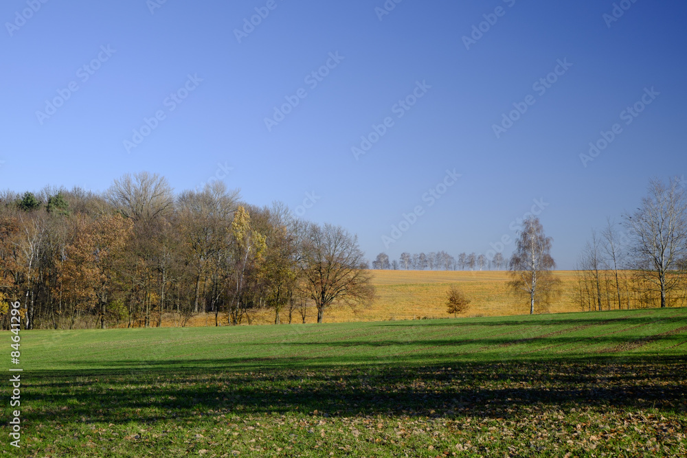 Landschaft am Zeitzer Forst bei Haynsburg, Burgenlandkreis, Sach