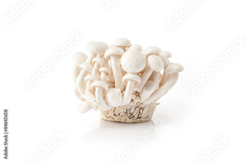 Fresh white mushrooms isolated on white background