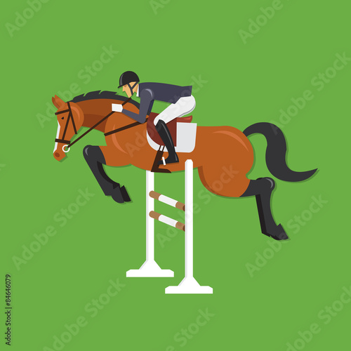 Horse Jumping Over Fence, Equestrian sport