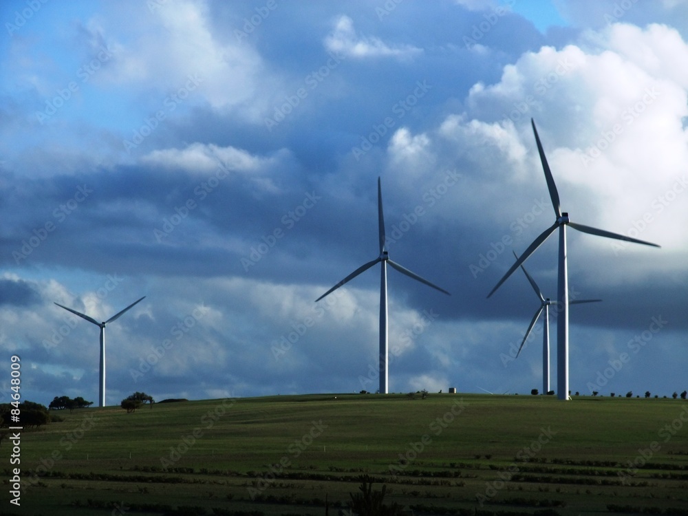 Fototapeta Wind Farm