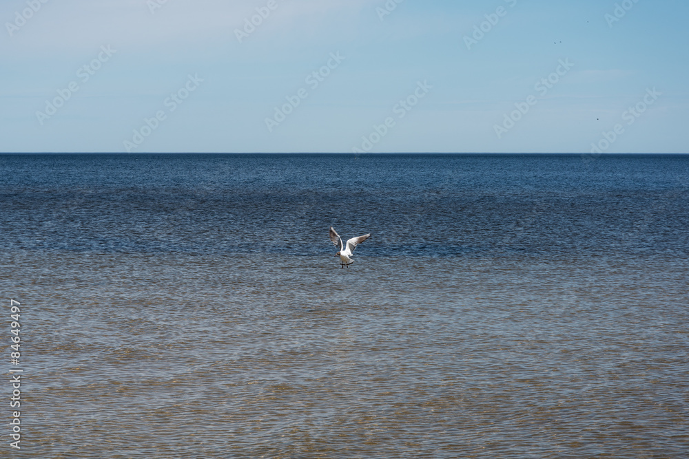 Naklejka premium Calm in Baltic sea.