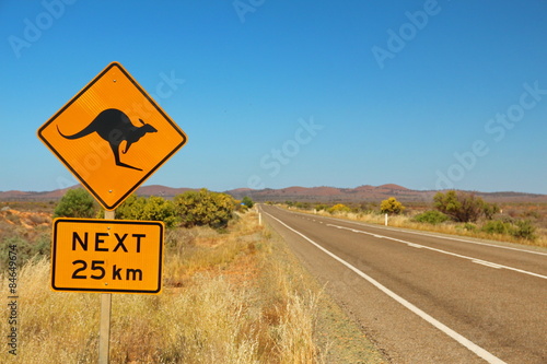Kangaroos on the road