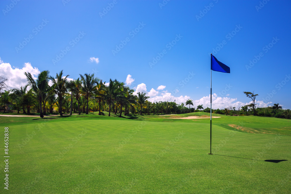 Obraz premium Golf course. Beautiful landscape of a golf court with palm trees