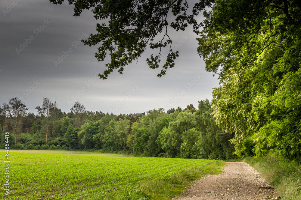 Fototapeta premium Landschaft vor Sommergewitter