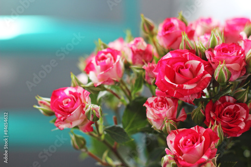roses, bouquet © yudokatia