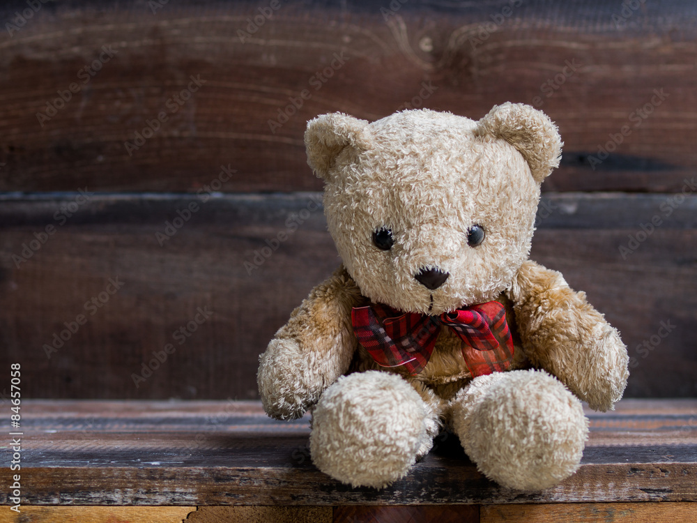 Obraz premium Little bear