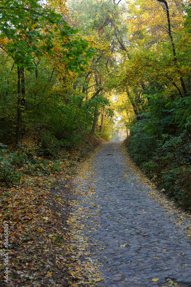 Autumn landscape in park