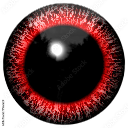 Red bloody alien or bird eye