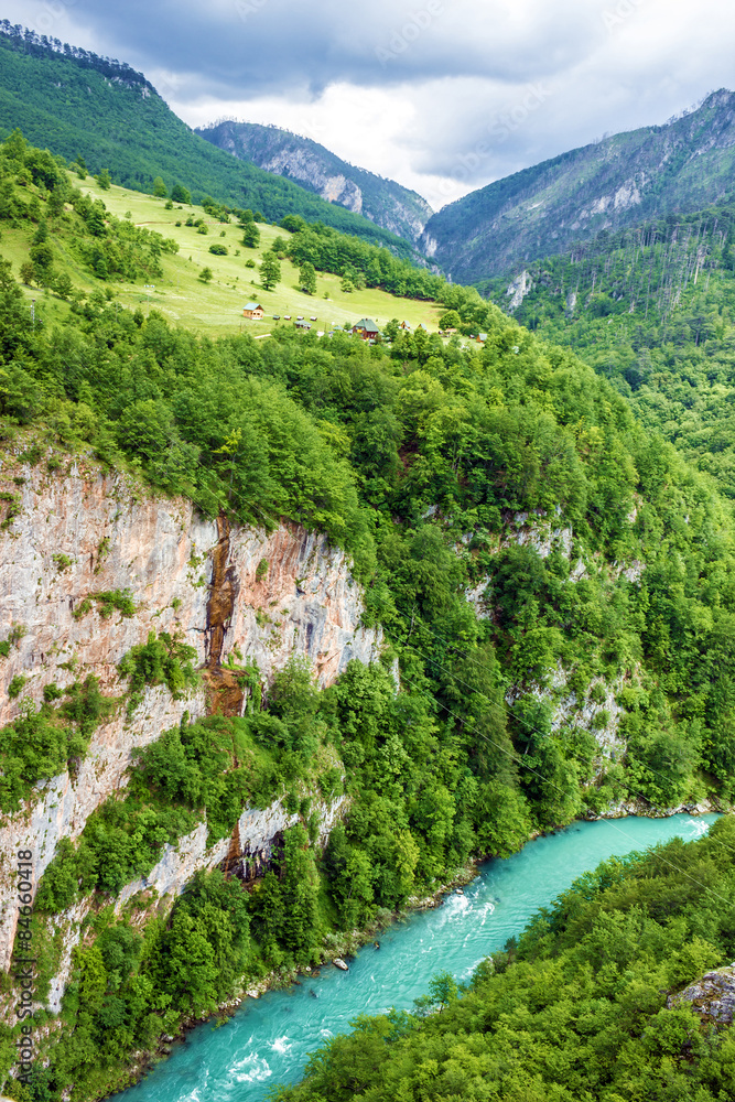 Fototapeta premium Green hills and mountain river. Natural landscape, Montenegro
