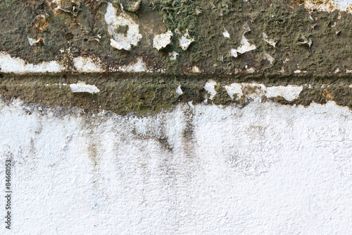 Old grungy wall with mold