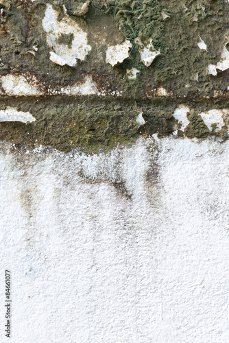 Old grungy wall with mold