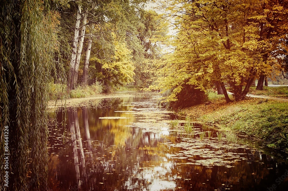 Obraz premium lake in the autumn park