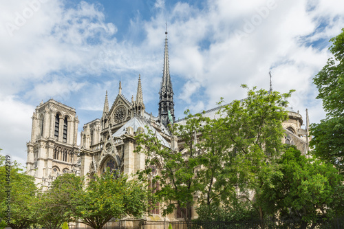 Notre Dame cathedral in springtime, Paris France