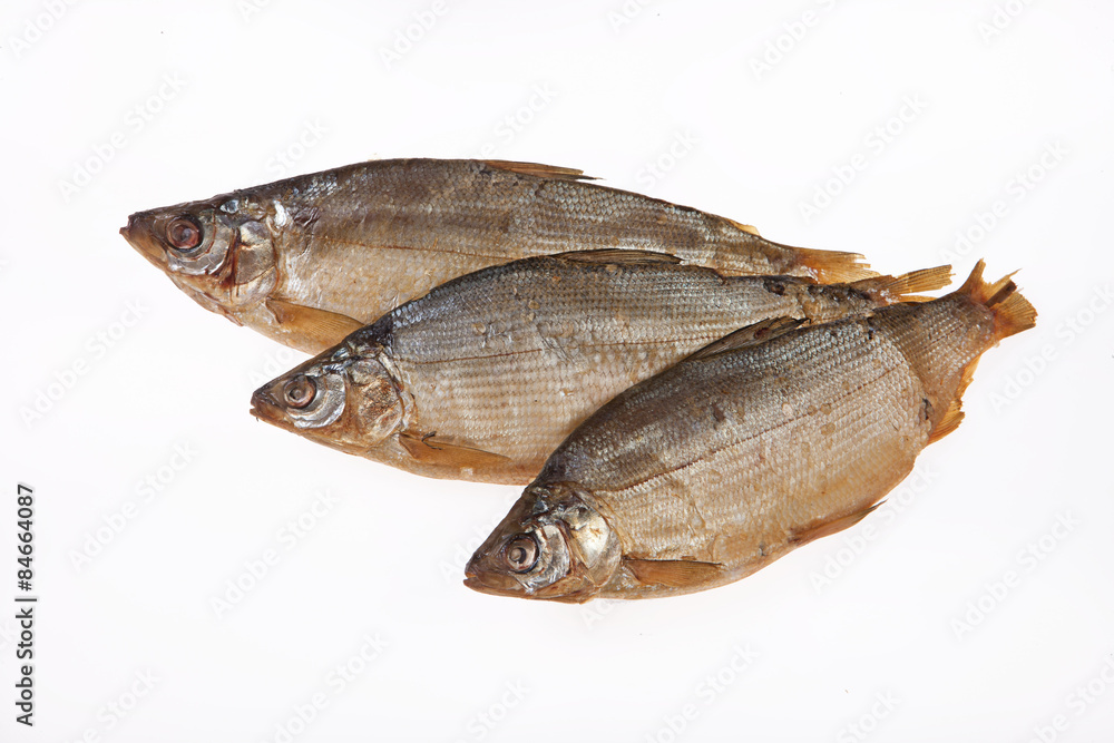 Fish Fish