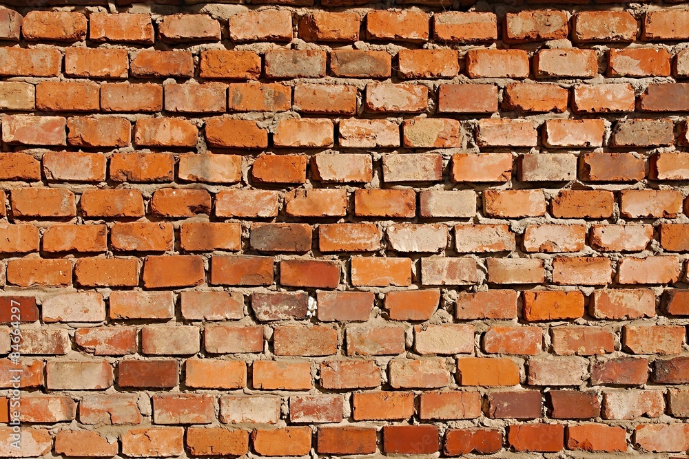 Obraz premium Brick Wall