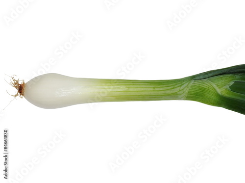 young onion bulbs with green sprouts isolated on white 