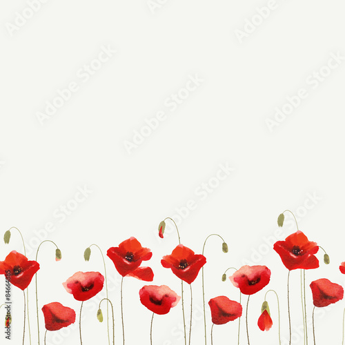 Floral glade with red poppies. Seamless ornament.