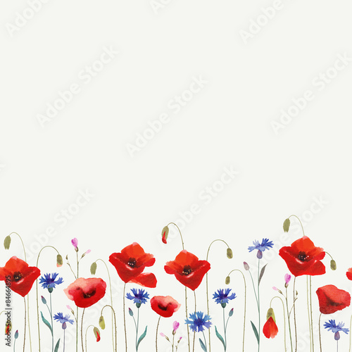Floral glade with red poppies. Seamless ornament.