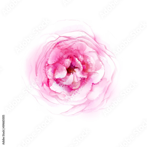 Pink tea rose blossom. Watercolor image vector. #84665005