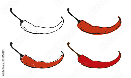 Chili pepper drawing