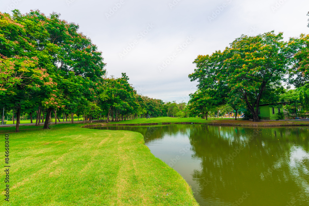 Green lawn with tree in city park, Beautiful park Green lawn with tree in city park, Beautiful park