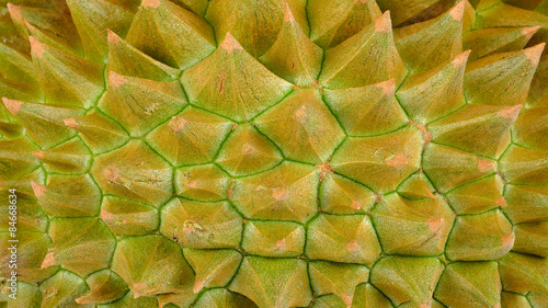 Close up durian for background