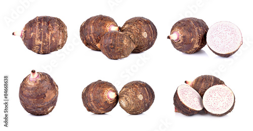 Collection taro isolated on the white background photo