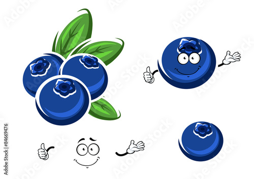 Cartoon fresh blueberry fruits on white