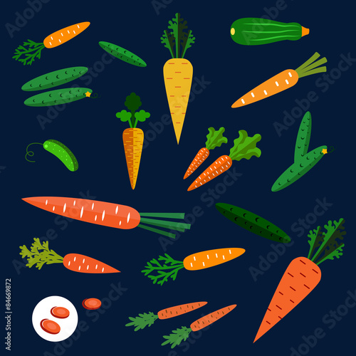 Healthy carrot and cucumber flat vegetables