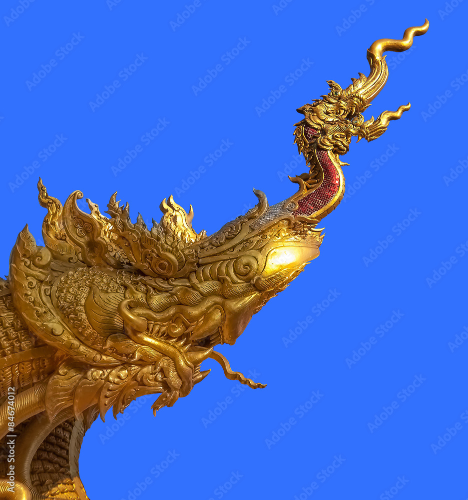 Golden dragon Head Golden dragon Head