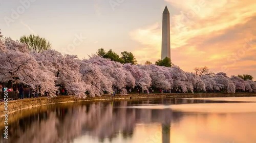 Washington DC in Spring at the Tidal Basin.