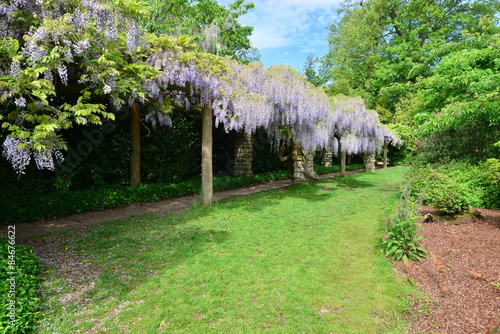 A burnt out English country estate and gardens in June 2015 photo