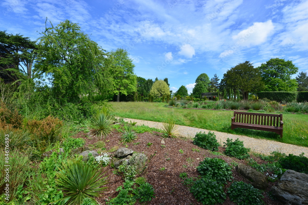A burnt out English country estate and gardens in June 2015 A burnt out English country estate and gardens in June 2015