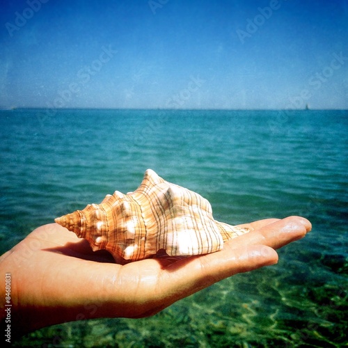 conch in a hand on the beach