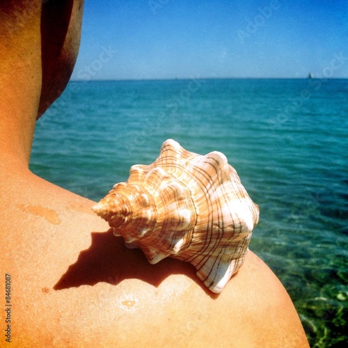 conch on the beach