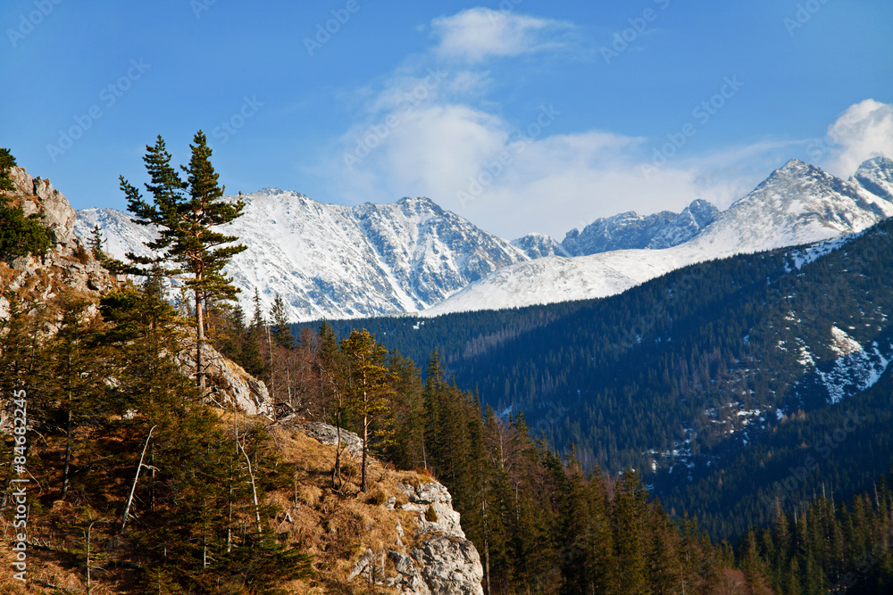 Mountain snowy landscape with rock