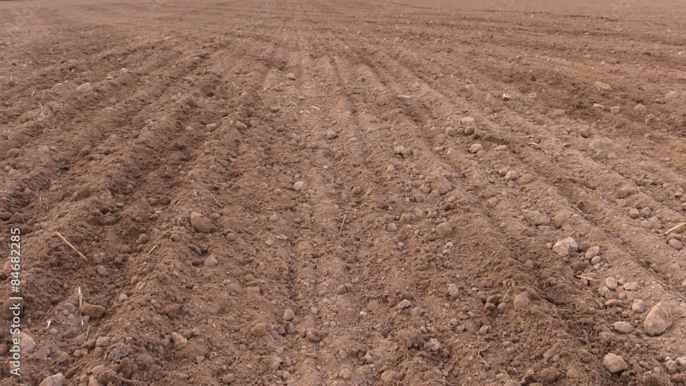 Soil and tractor fertilize field. Planting sow crops. Soil and tractor fertilize field. Planting sow crops.