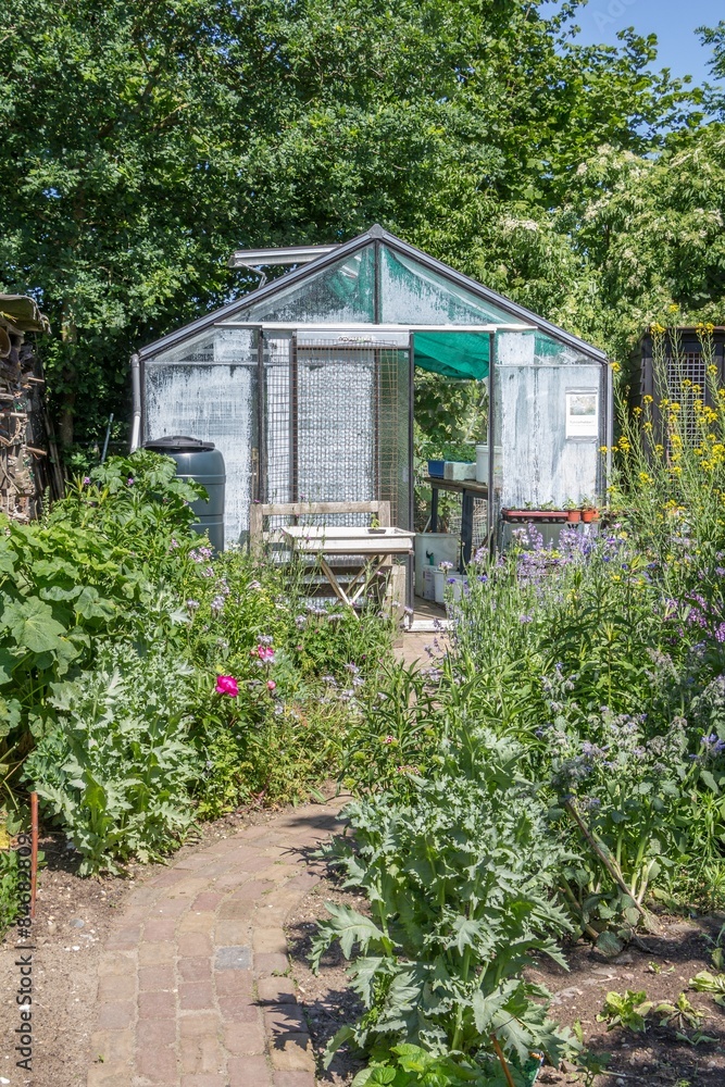 Cozy greenhouse in a citygarden with herbs and vegetables Cozy greenhouse in a citygarden with herbs and vegetables