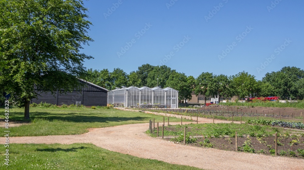 Obraz premium Public city garden with a greenhouse and vegetables